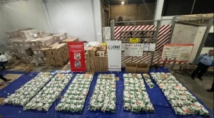 “Operativo histórico” en Paraguay: interceptan 1.600 kg de cocaína en almidón y harina con destino Países Bajos 1