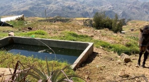 Mecapaca: en Totorani cada familia recibe 10 litros de agua y piden para el riego de sus cultivos 1