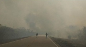 Santa Cruz estableció que el fuego dañó 13 reservas nacionales y el Gobierno dice que no hay afectación