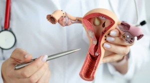 Especialista recomienda a niñas vacunarse contra el cáncer del cuello uterino y a las adultas, realizarse controles  1