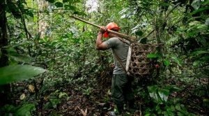 Organizaciones campesinas exigen al Legislativo tratamiento urgente de la Ley Bruno Racua para proteger la Amazonía 1