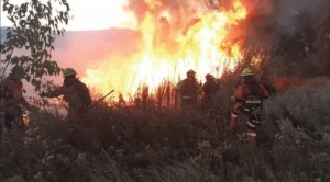 Bolivia, en el segundo lugar en pérdida  de bosque primario por incendios para despejar tierra para agricultura industrial 1