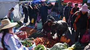 Feria “Del Campo a la Olla” se instala este sábado y ofrece alimentos a precio en medio de casos de especulación y agio 1