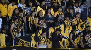 Por el Día de la Madre, el Tigre dispone ingreso libre para todas las mujeres 1