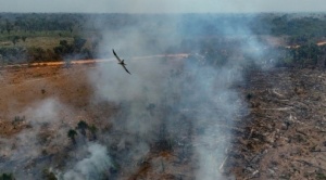 La deforestación de la Amazonía brasileña se aceleró en los últimos diez meses 1