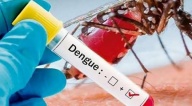 Suman 11 muertes por dengue en el país y recomiendan acudir de inmediato a centros de salud