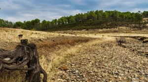 El cambio climático y el riesgo de las acciones tibias 