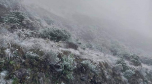 Heladas y granizadas afectan a  6 departamentos y 127 municipios
