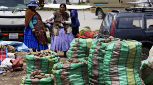 OPINIÓN|Reflexionando sobre la dualidad productiva de Bolivia|José Luis López| 