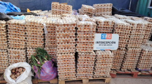 Crece el contrabando de huevos de Bolivia a Chile y preocupa a autoridades chilenas