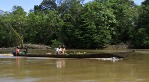 Los derechos de la naturaleza, un reconocimiento jurídico que ha llegado para quedarse