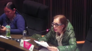 Senado aprueba dispensación de trámite  para tratar proyecto de ley que permite compra directa de combustible