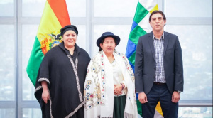 Comisión define que el Gobierno emita un decreto con bases para la transición