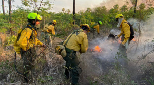 Incendio en frontera entre Paraguay y Bolivia arrasa con 16.000 hectáreas de vegetación