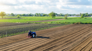 CAO: escasez de diésel y dólares  reducirá hasta un 80% la oferta de algunos productos agrícolas para 2026