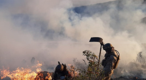 Bolivia, el país de la región donde menos preocupa el cambio climático y deforestación, según encuesta