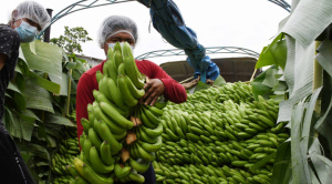 La reactivación económica, una de las prioridades para legisladores electos