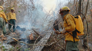 Gobierno reporta seis incendios activos, cinco en Santa Cruz y uno en Tarija