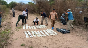 Detienen en Salta a dos pilotos bolivianos tras hallazgo de avioneta con 364 kilos de cocaína