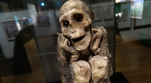 Momias de Bolivia y de otros países se exhiben en museo de París