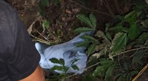 Aprehendido por muerte de menor confesó el crimen; Fiscalía pide detención preventiva en Chonchocoro