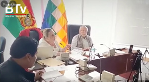 Comisión de Diputados sesiona de  forma virtual para tratar proyectos  para elección de vocales del TSE