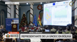 Informe de la UNODC revela un incremento del 10% de los cultivos de coca