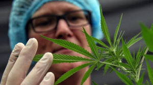 Trump firma una orden ejecutiva para reclasificar la marihuana como una droga menos peligrosa