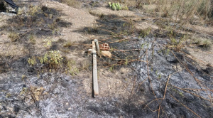 Denuncian avasallamiento de predios en Kapunita, en Mecapaca