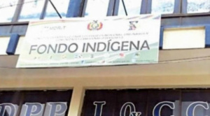 Vuelven a circular investigaciones de Oscar Ortiz y Diego Ayo sobre el desfalco del fondo indígena