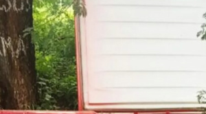 Aprehenden al principal implicado en el crimen de Roxana, la mujer hallada en un congelador