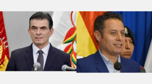 Ejecutivo, sobre DS 5515: “No puede exponerse a la ciudadanía a que el vicepresidente actúe en contra del gobierno”