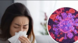 Bolivia registra nueve casos de influenza A H3N2 variante K y refuerza vigilancia epidemiológica