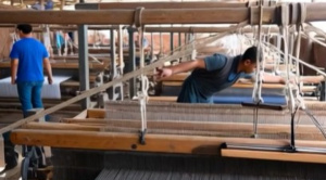 Estudio cuestiona la idea de equilibrio fiscal y defiende el déficit como herramienta económica