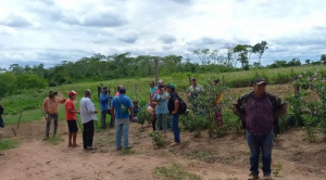 |OPINIÓN|Avallasamientos: entre el despojo a los indígenas y el desincentivo a la inversión|Rubén Ticona|