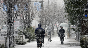 Suman 35 los muertos por la nieve en Japón, hay riesgo de avalanchas por deshielo