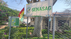 Allanan Senasag en Santa Cruz por envío de droga camuflada en madera