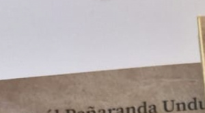 |RESEÑA|Cierto, es tinta indeleble|Raúl Rivero|