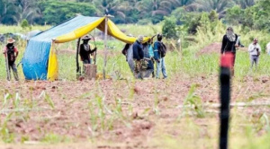 |DIÁLOGOS AL CAFÉ|La clasificación de las tierras y el derecho de propiedad|