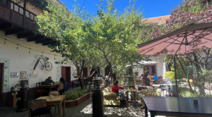 Los secretos de Typica, la cafetería premium boliviana  