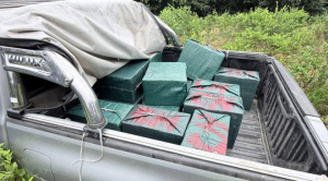 Operativos antidroga afectan con 3,5 millones de dólares al narcotráfico