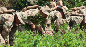 Gobierno reactiva erradicación de coca en el Chapare