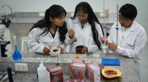 Estudiantes bolivianas avanzan en anticonceptivo masculino reversible a partir de papaya
