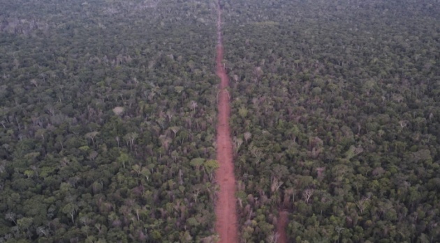 Narcotráfico penetra comunidades agrarias del oriente para lavar dinero ilícito